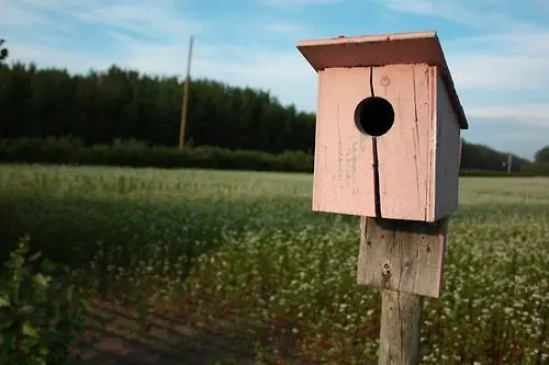 Birdhouse beside a flowering field